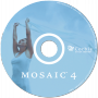 mosaic CD face