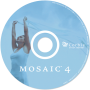 mosaic CD face