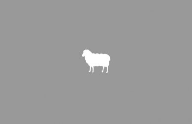 schaper software vcard 3