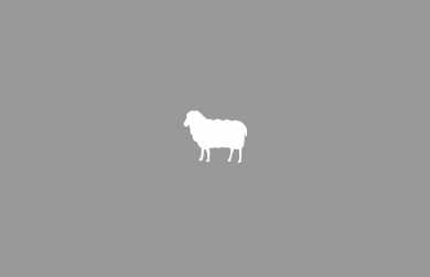 schaper software vcard 2
